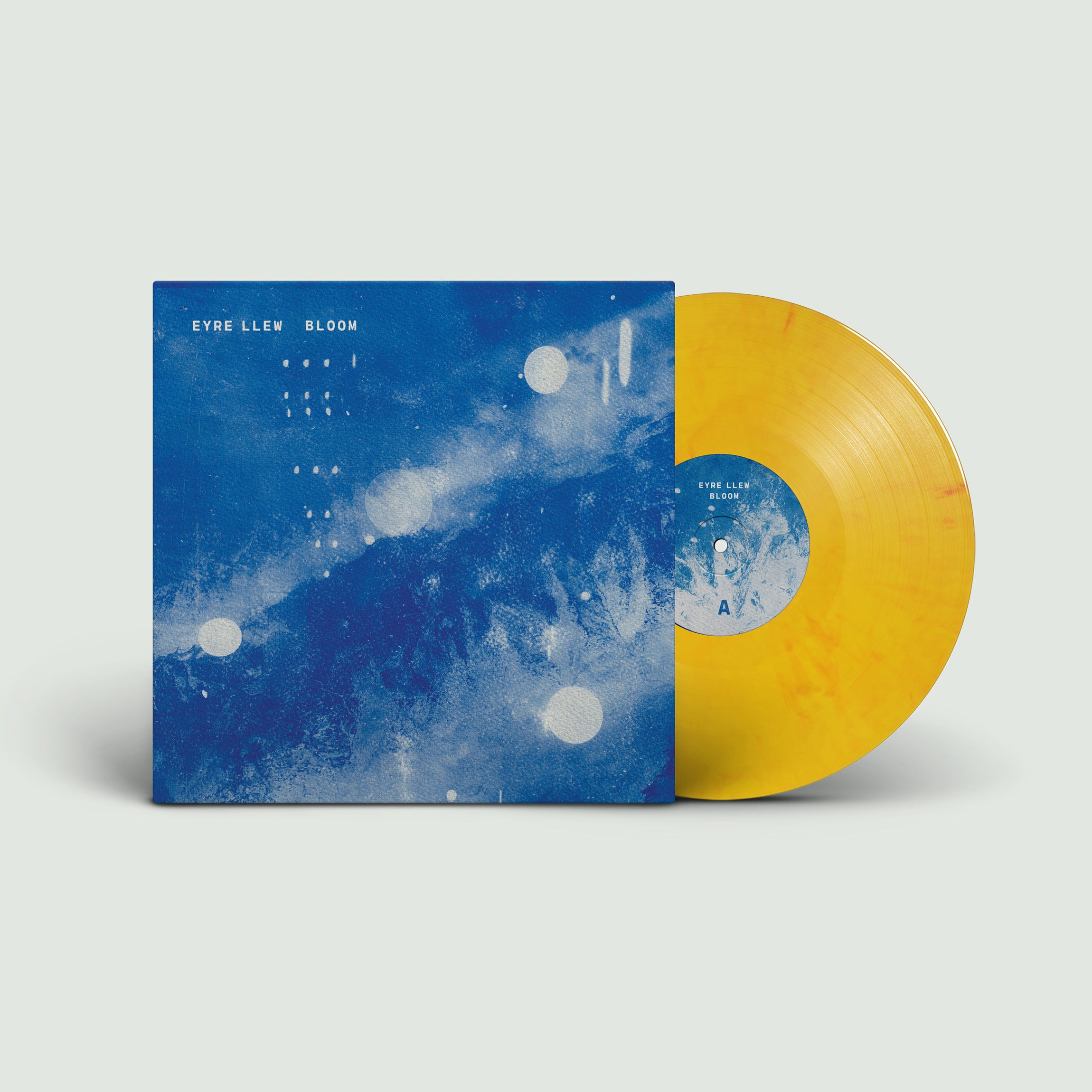 Kath Bloom / Moonlight ブルー・ヴァイナル LP Kath Bloom / Moonlight ブルー・ヴァイナル LP 【公式通販】